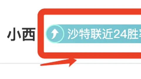 “亚冬会佳绩频传 中国运动员米兰征途启航 新华社报道”